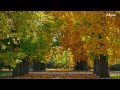 Der Schlosspark von Halbturn im Herbst - The castle park of Halbturn in autumn