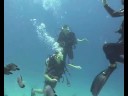 Scuba Diving Maldives, Philip Habacon Films (Norbert)