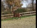 United x Linaro 1,5j.wmv