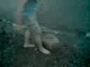craig-climbs-out-of-the-window-and-then-in-again.html