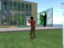 Karate Animation in Second Life No,21