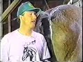 Big Horse Fart !