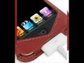 PDair Leather Case for Apple New iPod Touch 2nd (8GB/16GB/32GB) - Sleeve Type (Red)