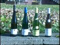 Vino 24 Riesling Vino 24 Riesling