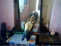 cock fight at zaida swabi