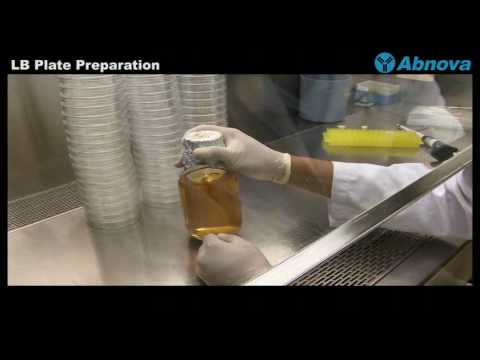 how to dissolve cycloheximide