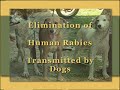  dogs rabies