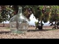 Enoturismo en Bodega Contiempo