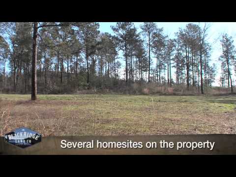 360 acres Verbena, AL