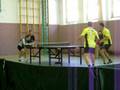 TTC Halle vs. Landsberg Tischtennis