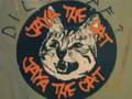 Jaya The Cat / Drug Squad