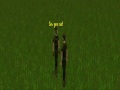 RuneScape-Boot Camp!