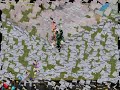 Apango Paradise3