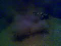 nitro buggy xtm xt2 terminator  auto na pilot