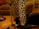 dora working out 2