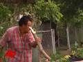 Texas Residents Clean-up Storm Damage