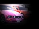 QATAR MUSTANG 2008 By bin majid موستنجات قطر