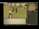 run3 p0wns & nialls pure maxing