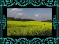 IZIM 7/8 Summary Trailer