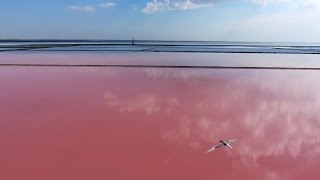 озеро сасык крым рыбалка пеленгас озеро сасык крым рыбалка пеленгас