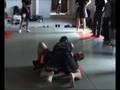 videos de THE STRONGEST - www.jkdmk.com