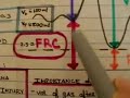 Pulmonary Function Test 2/3 Pulmonary Function Test 2/3