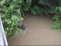 Bird Creek Pawhuska Bird Creek Pawhuska