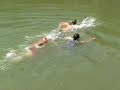 Swimming Swimming