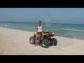 BORJ CEDRIA CARIBBEAN WORLD