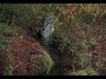 Autumn in Kuusalu (Estonia)