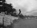 Miguelito MFAZ black and white tricking