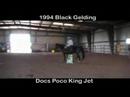 -SOLD- 1994 Black AQHA Gelding