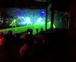 Mindcontroller 2007 Bass D King Matthew 2