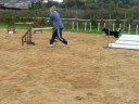Buckland agility october
