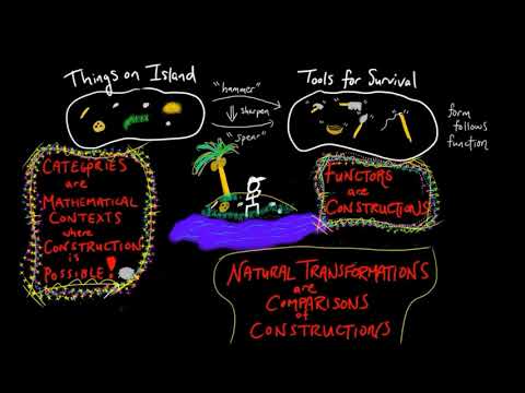 What is Category Theory?