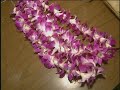 Hawaii - Honolulu - Travel Doc