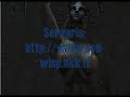L2-wisp