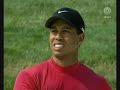 tiger woods dream