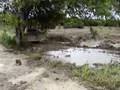 Bull-Dozer-Muddin-2