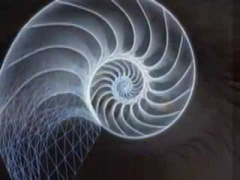 Spiral - From DNA to The Milky Way.