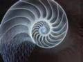 Spiral Theory