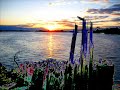 Orinoco Flow - Enya