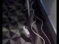 Notacon RF ID Any thing but ethernet entry (ABE)