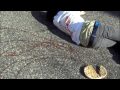  - MovieZen Video