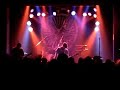 Popperklopper - aufrechter Deutscher Popperklopper - aufrechter Deutscher