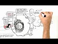 Cell Isolation - The Two Worlds of Cell Separation