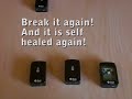 Self healing network experiment
