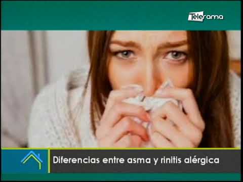 Diferencias entre asma y rinitis alérgica