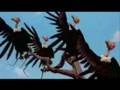 Lee Ryan - L'era Glaciale 2.MaryLEE LemboRYAN