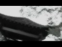 Compassion is Action Final.mp4